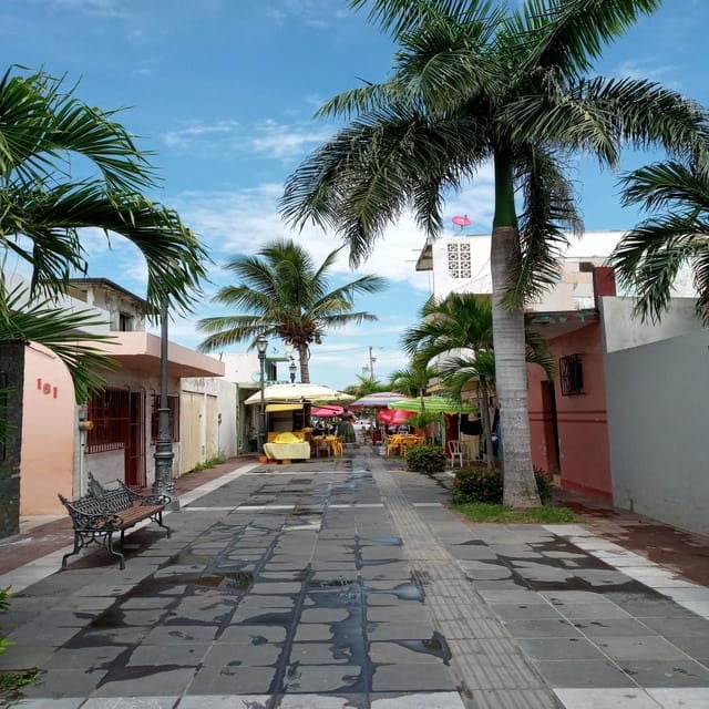 An Experience of Color, Aroma and Flavor in Veracruz. - Accessibility and Language