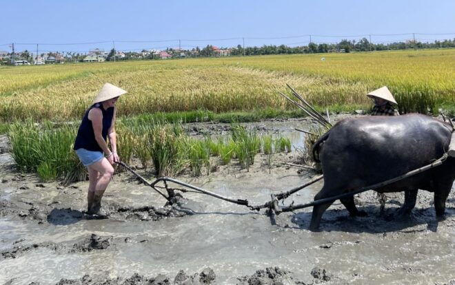 An Incredible Hoi an - Water Buffalo Riding & Cooking Class - Additional Information