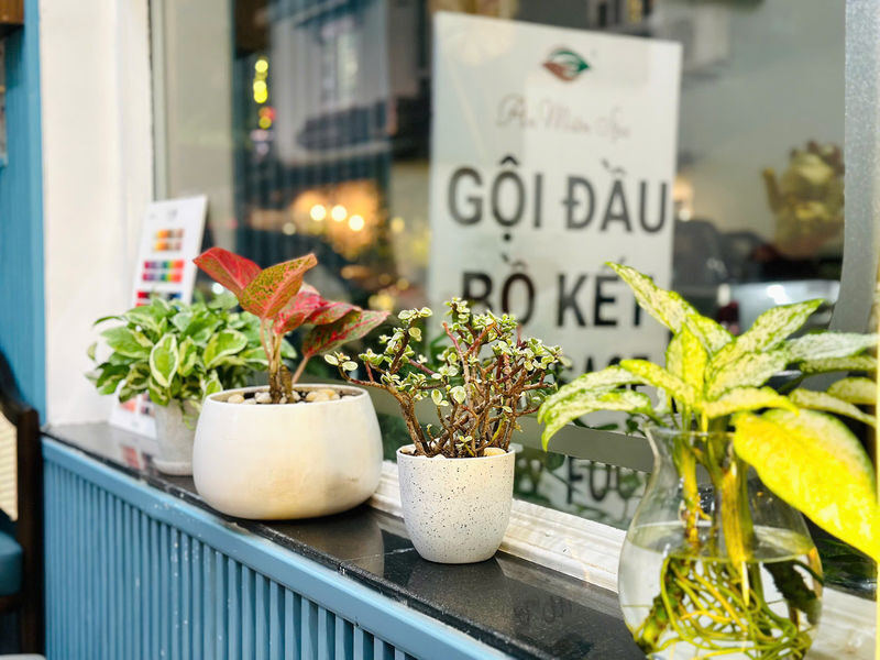 An Mien Herbal Hairwash & Massage District 1, Ho Chi Minh - Booking rules that can affect your plans