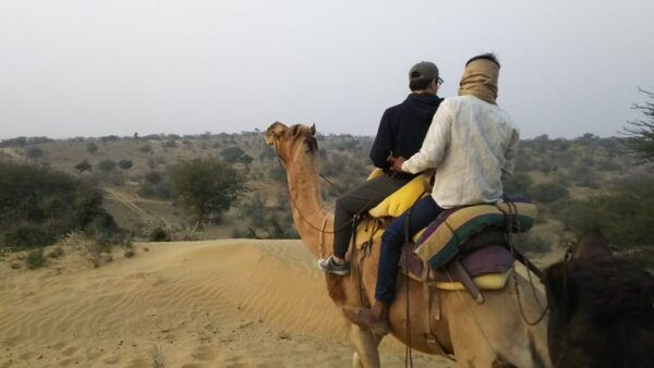 An Unforgettable Camel and Jeep Safari in Osian Villlage - The Sum Up