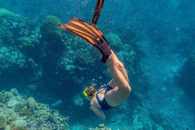An Unforgettable Day in the Rosario Islands: Snorkeling, Lunch. - Tour Inclusions and Exclusions