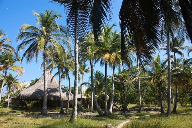 An Unforgettable Day in the Rosario Islands: Snorkeling, Lunch. - Meeting Point and Activity Timing