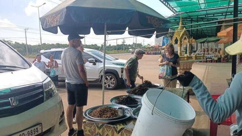 An Unforgettable Road Trip from Phnom Penh to Siem Reap - Who is this tour best suited for?  