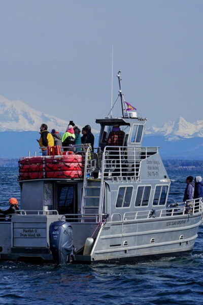 Anacortes: Orca Whales Guaranteed Boat Tour Near Seattle - Tour Operator Information