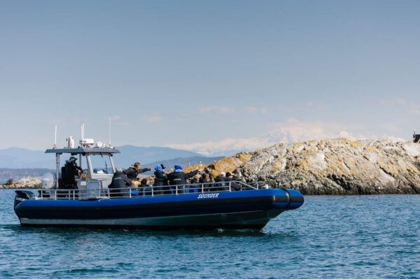 Anacortes: Whale Watching Adventure Tour - Cancellation and Refunds