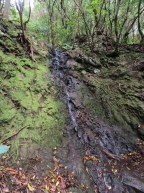 Anaga Canyoning - Booking Information