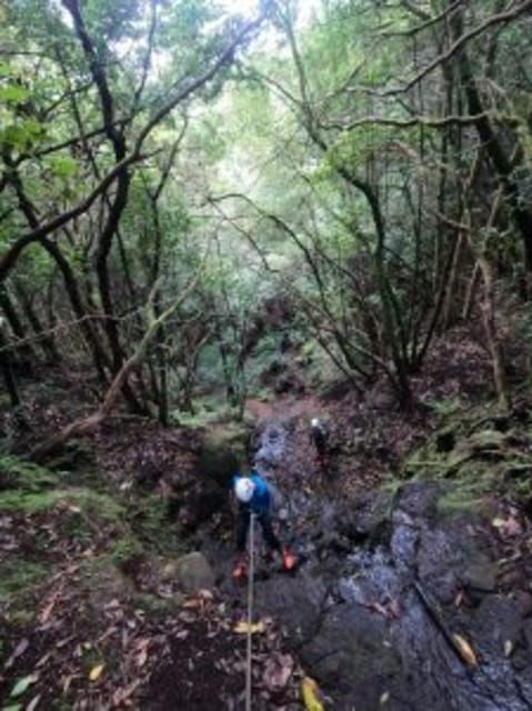 Anaga Canyoning - Prohibitions