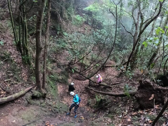 Anaga Canyoning - Exploring the Laurel Forest