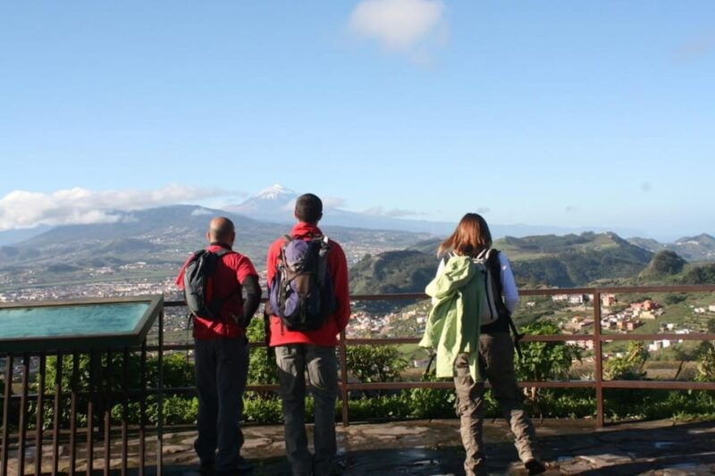 Anaga, La Laguna and Tacoronte-Acentejo - Forests, History and Wines: VIP Tour - Discovering the Cultural Treasures of La Laguna