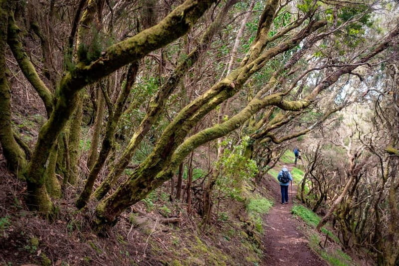 Anaga Mountains Tenerife - Chamorga Guided Hike - Good To Know