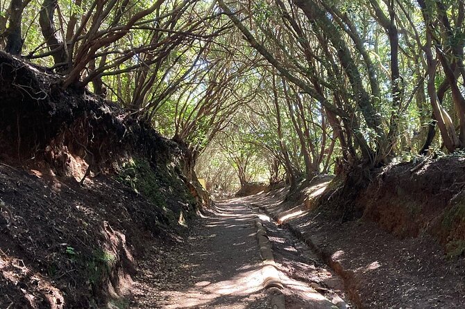 Anaga Private Tenerife Adventure Tour Minimun 3 Persons - Itinerary Overview