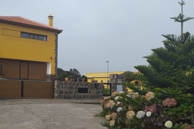 Anaga the Enigmatic Forest - Overview of Anaga Forest