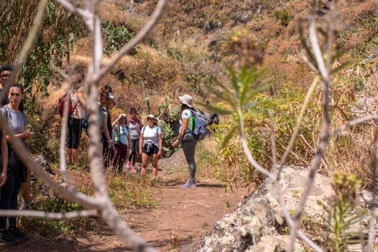 Anaga: Women Wise Footprints Tour - Tour Highlights