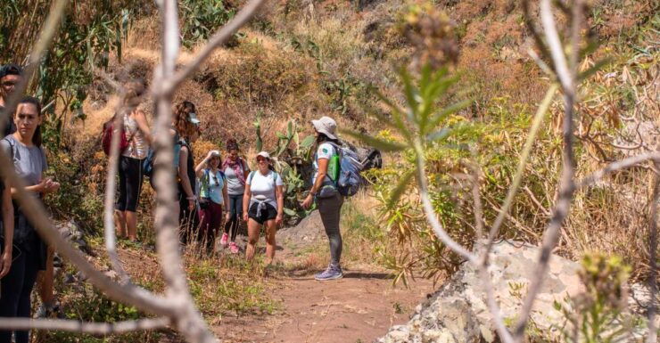 Anaga: Women Wise Footprints Tour - Booking Details