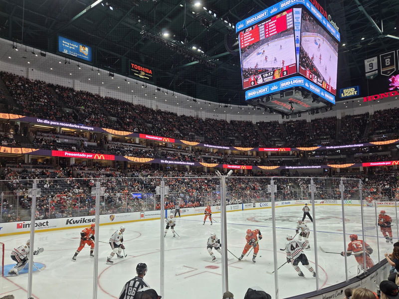 Anaheim Ducks Ice Hockey Game at Honda Center - A Ducks game at the original Mighty Ducks home