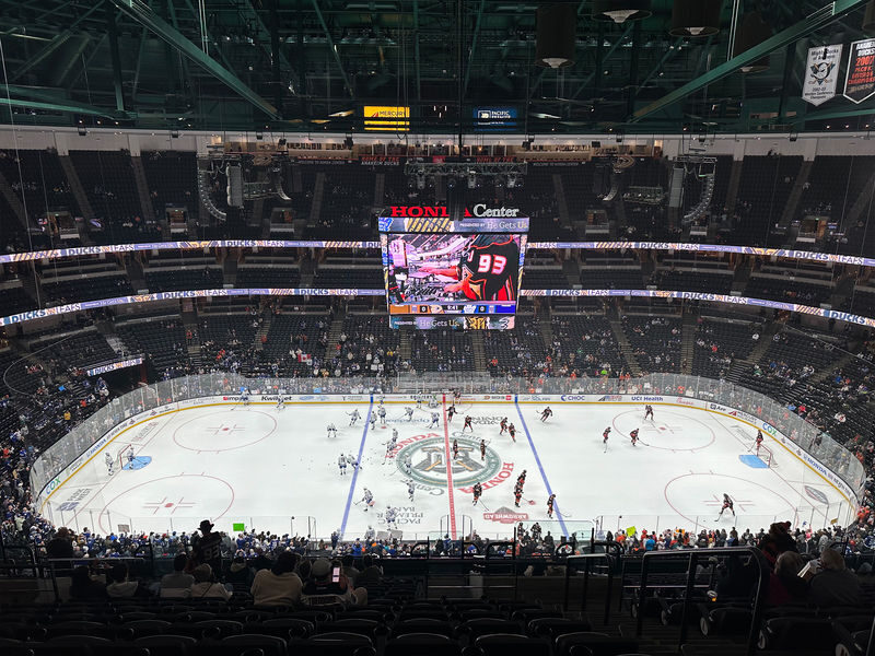 Anaheim Ducks Ice Hockey Game at Honda Center - What the price buys, and who gets the most from it