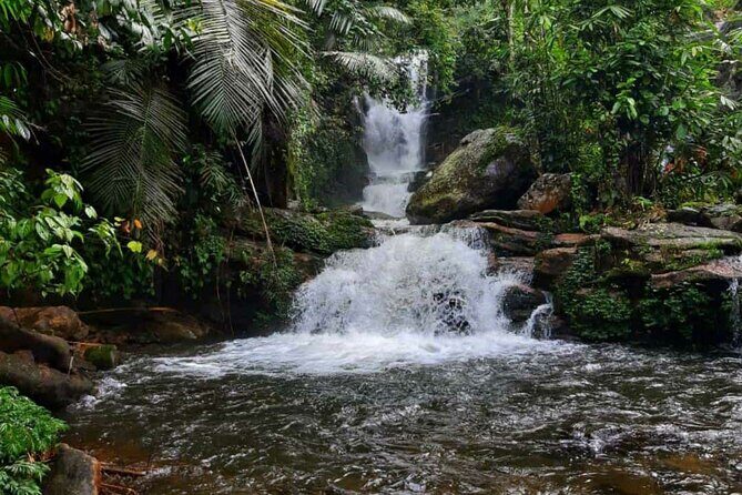 Anakulam Wild elephant Visiting & Tribal village 4*4 Ride - FAQ