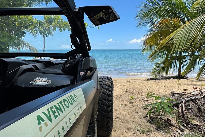 Añasco-Bunny Fever Adventure Experience - Exploring Puerto Rico’s Hidden Corners: A Deep Dive into the Tour