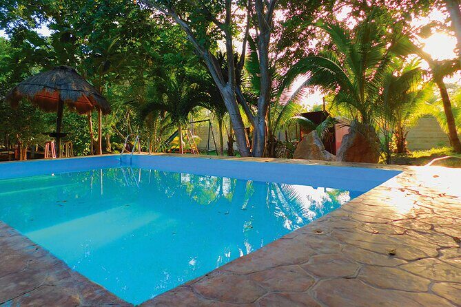 Ancestral Mayan Private Culinary Experience in Merida - The Sum Up  