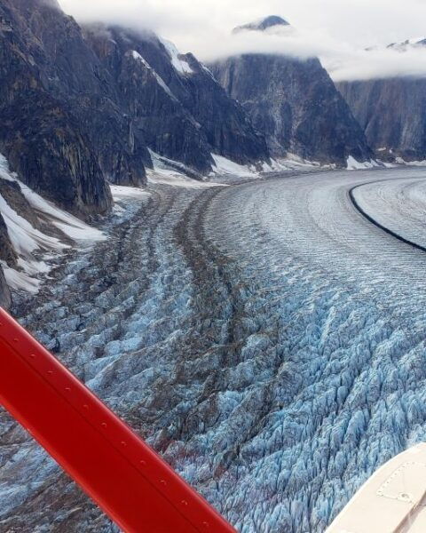 Anchorage: 11 Day Alaska Interior Explorer Tour - Availability