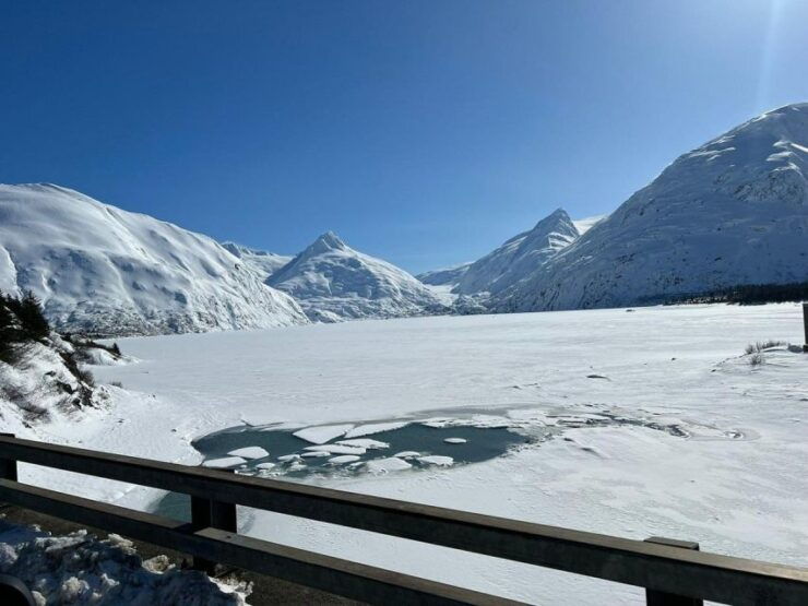 Anchorage: Alaska Wildlife Center and Turnagain Arm Tour - Good To Know