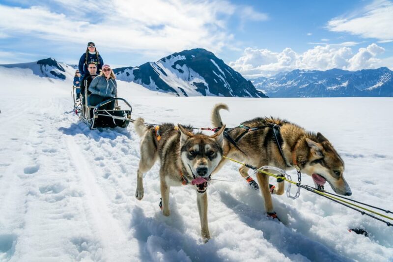 Anchorage Area: Helicopter and Glacier Dogsled Tour - Introduction