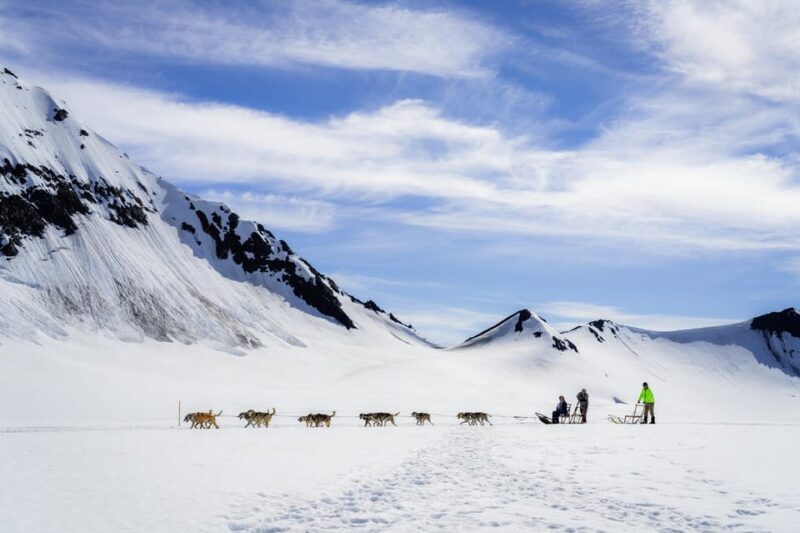 Anchorage Area: Helicopter and Glacier Dogsled Tour - Good To Know