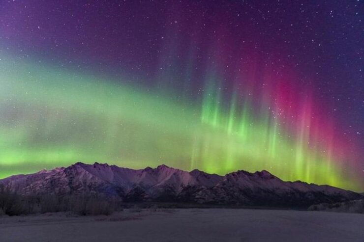 Anchorage: Aurora Borealis Northern Lights Photography Tour - Tour Experience and Activities