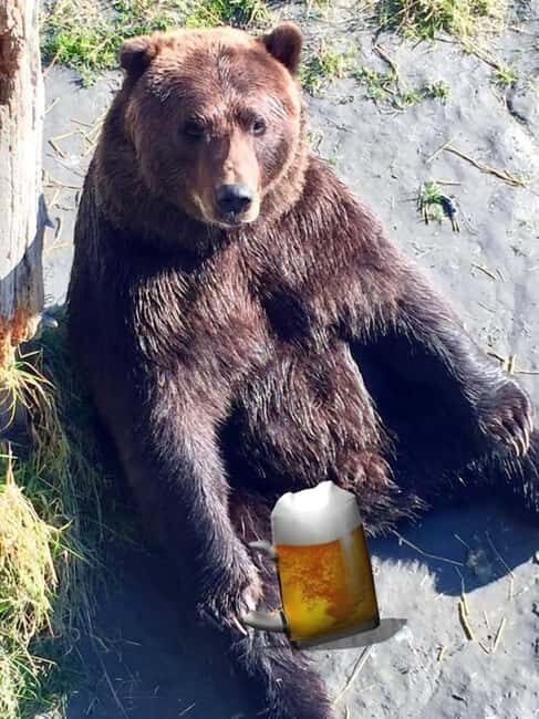 Anchorage: Bears, Beers, and Glacier Tour - Frequently Asked Questions  