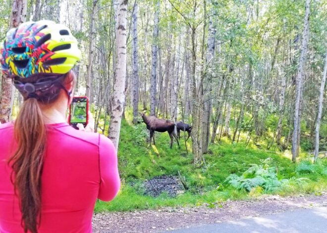 Anchorage: Coastal Trail 3-Hour City Bike Tour - Historical Insights and Scenic Views