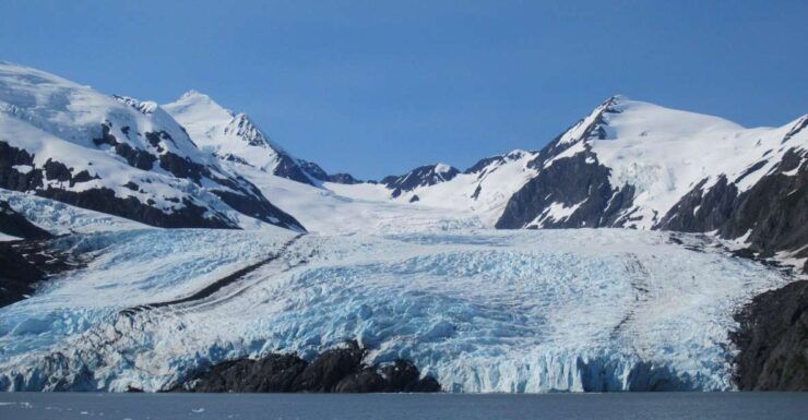Anchorage: Glacier and Wildlife Explorer Cruise - Activity Details