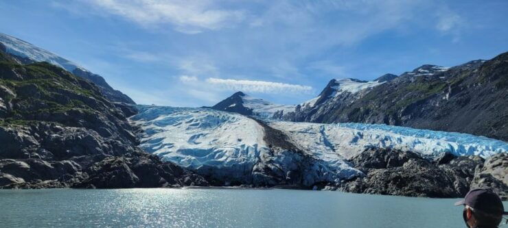 Anchorage: Glacier and Wildlife Explorer Cruise - Highlights
