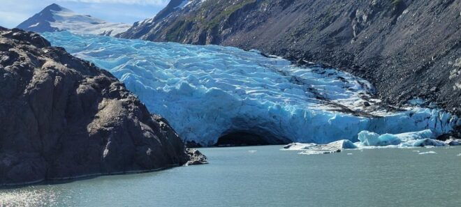 Anchorage: Glacier and Wildlife Explorer Cruise - Inclusions