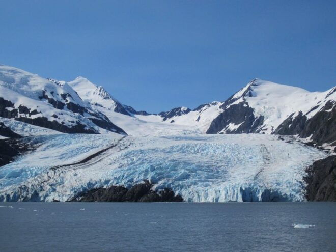 Anchorage: Glacier and Wildlife Explorer Cruise - Select Participants and Date