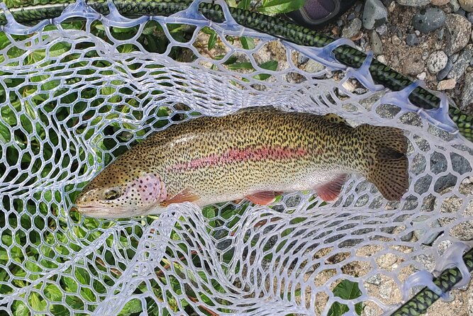 Anchorage Guided Fly-fishing - Itinerary Breakdown
