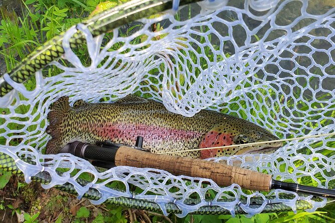 Anchorage Guided Fly-fishing - Why This Tour Is Worth It