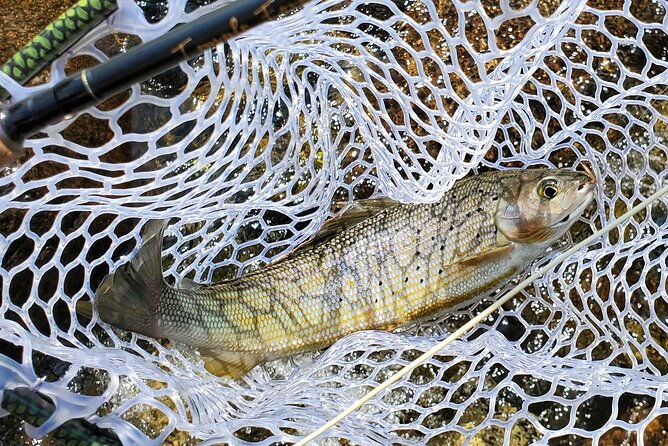 Anchorage Guided Fly-fishing - Who Should Book This Experience?