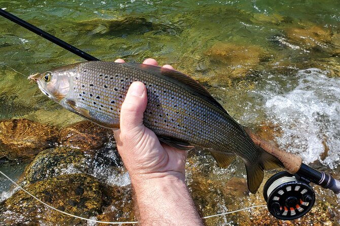 Anchorage Guided Fly-fishing - FAQ