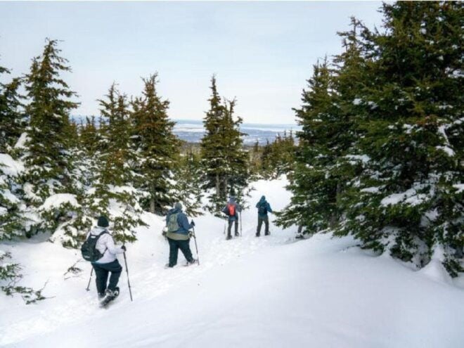 Anchorage: Heli Snowshoe Adventure - The Sum Up