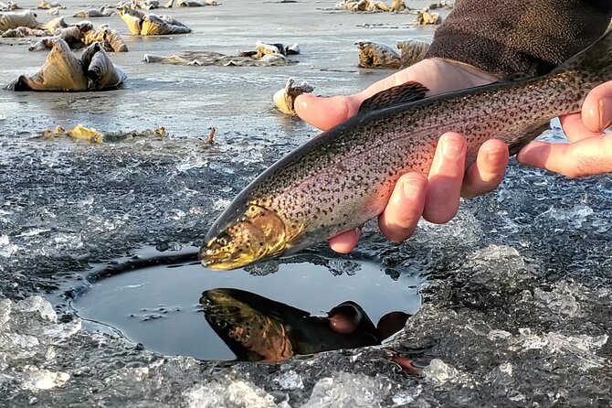 Anchorage Ice Fishing Adventure - What to Expect