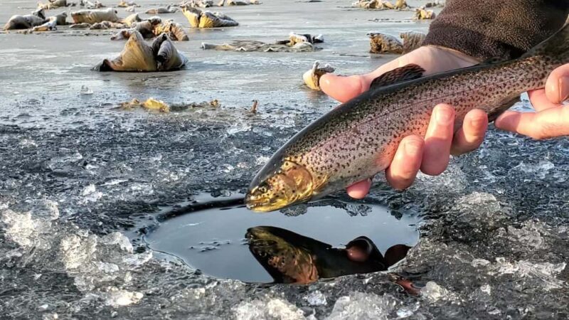 Anchorage: Ice Fishing Trip With Transportation - Good To Know