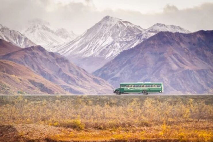 Anchorage: Kenai Fjords & Denali National Park 5 Day Tour - Tour Information and Highlights