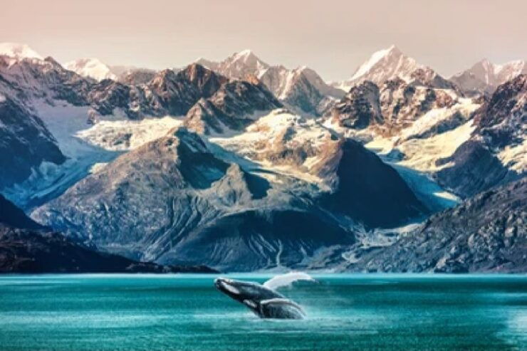 Anchorage: Kenai Fjords & Denali National Park 5 Day Tour - Day 1: Exploring Girdwood and Seward