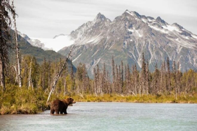 Anchorage: Kenai Fjords & Denali National Park 5 Day Tour - Day 3: Journey From Seward to Denali