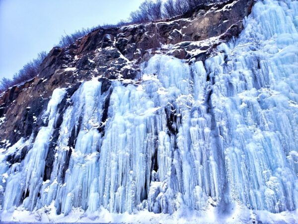Anchorage: Mystery Sightseeing Tour - Common Questions