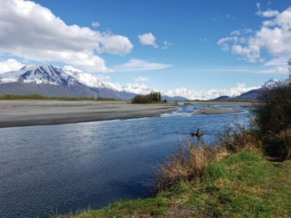 Anchorage: Mystery Sightseeing Tour - The Sum Up