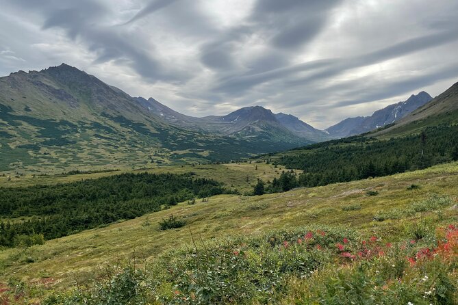 Anchorage Nature Tour to Chugach State Park - Flattop Mountain Trail