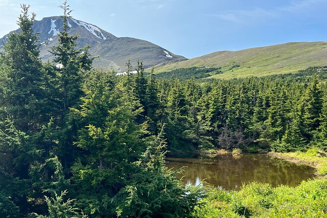 Anchorage Nature Tour to Chugach State Park - Wildlife Sightings and Educational Experience