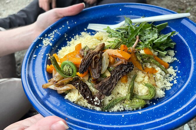 Anchorage or Talkeetna: Backcountry Foraging and Cooking Tour - Tour Overview and Activities