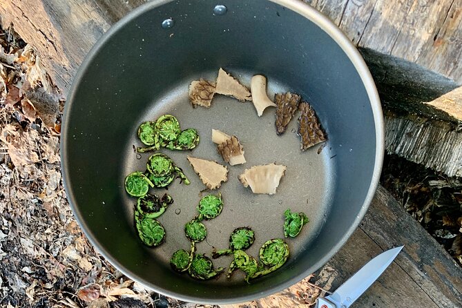 Anchorage or Talkeetna: Backcountry Foraging and Cooking Tour - The Sum Up
